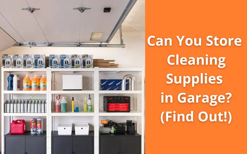 Can You Store Cleaning Supplies in Garage? (Find Out Now!) DiscussDiy
