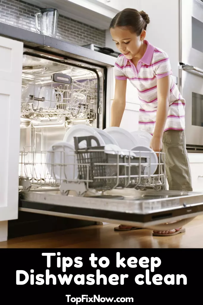 5 Tips to Fix Dishwasher Smells Like Rotten Eggs DiscussDiy
