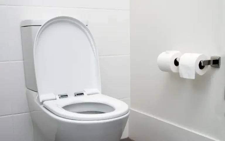 Accidentally Flushed Paper Towel (What Happens+Solution!)