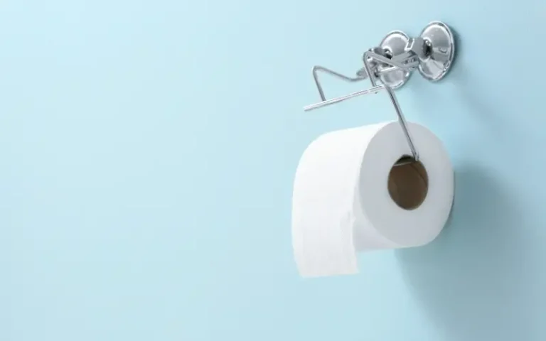 Should You Install Toilet Paper Holder Left or Right? (Find Out!)